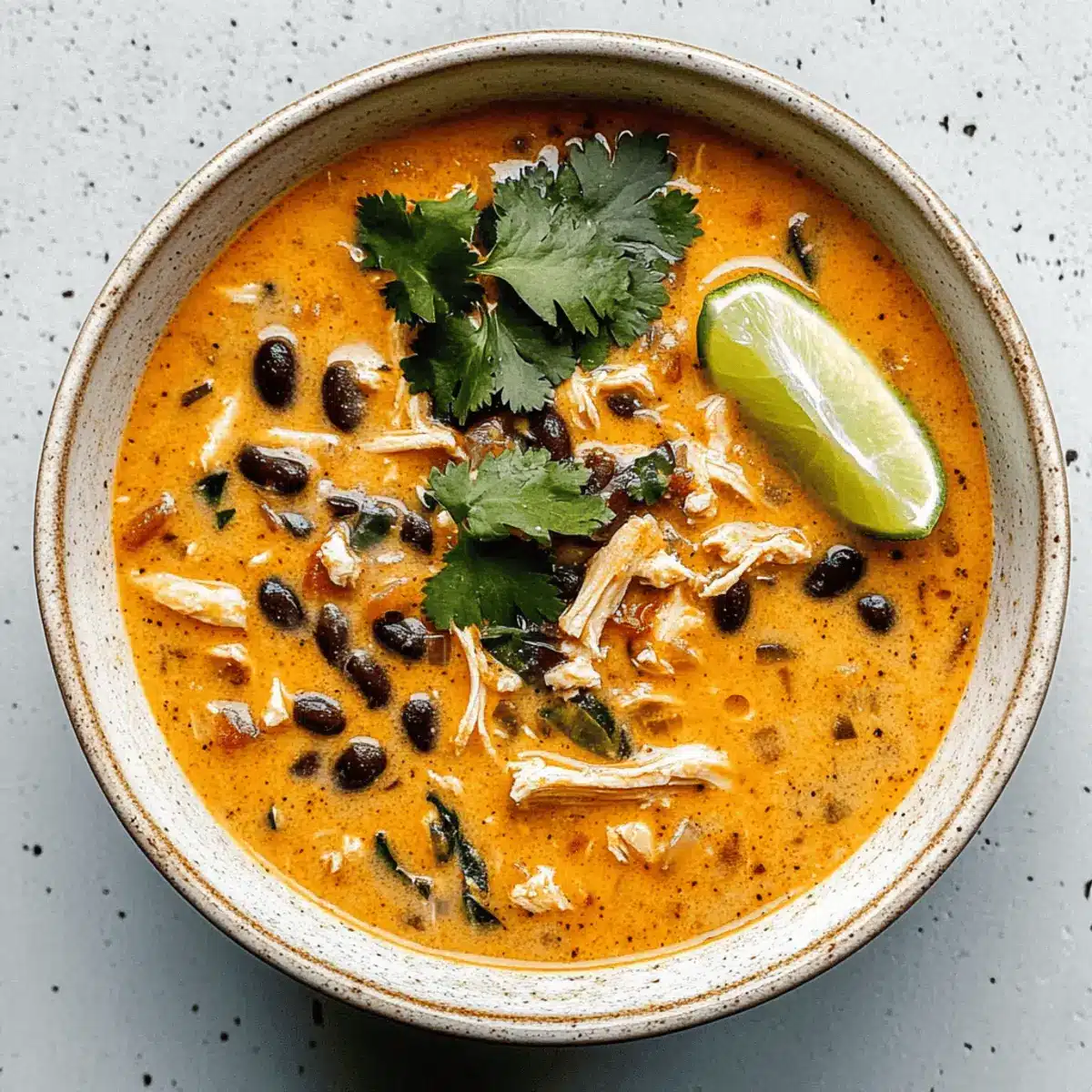 Chicken, Poblano, and Black Bean Soup