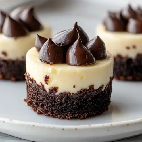 Brownie Bottom Mini Cheesecakes