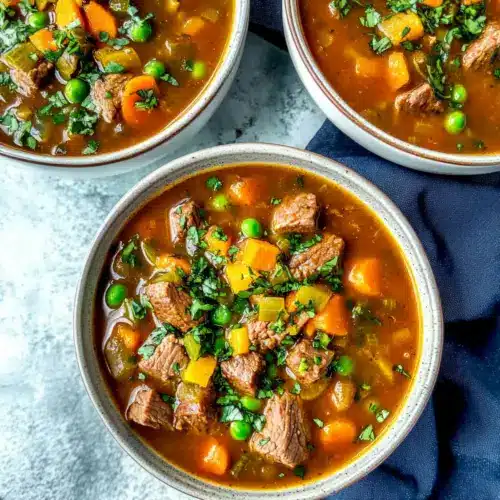 Instant Pot Vegetable Beef Soup