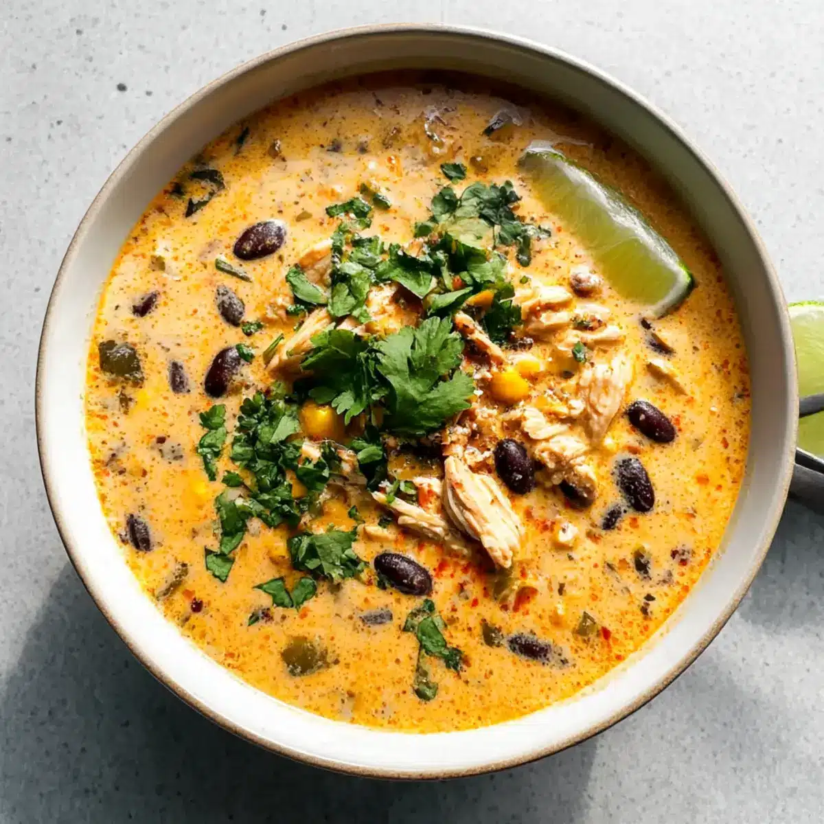 Chicken, Poblano, and Black Bean Soup